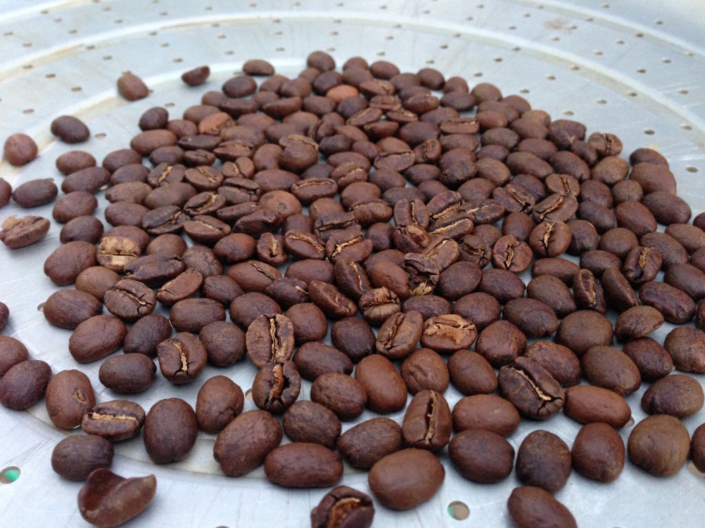 fresh-roasted-coffee